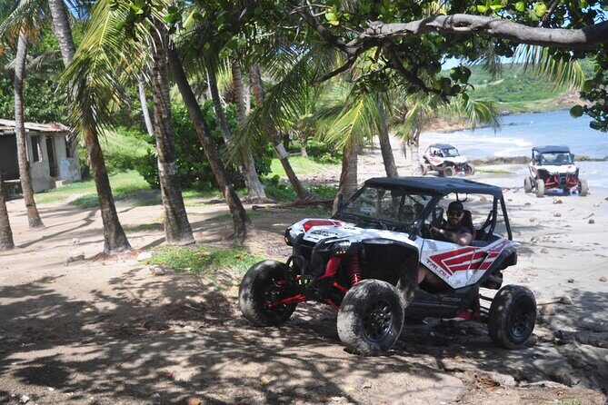 Northern Sights - Buggy in the North - Who Will Love This Tour?  