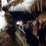 Northland Hidden Gems: Glowworm Cave, Beach & Art Café - What Makes This Tour Special