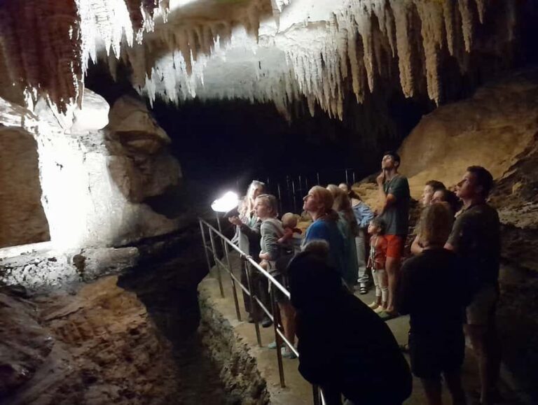 Northland Hidden Gems: Glowworm Cave, Beach & Art Café - What Makes This Tour Special