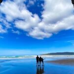 Nugget Point and Cathedral Caves Private Tour from Dunedin - The Experience and Value
