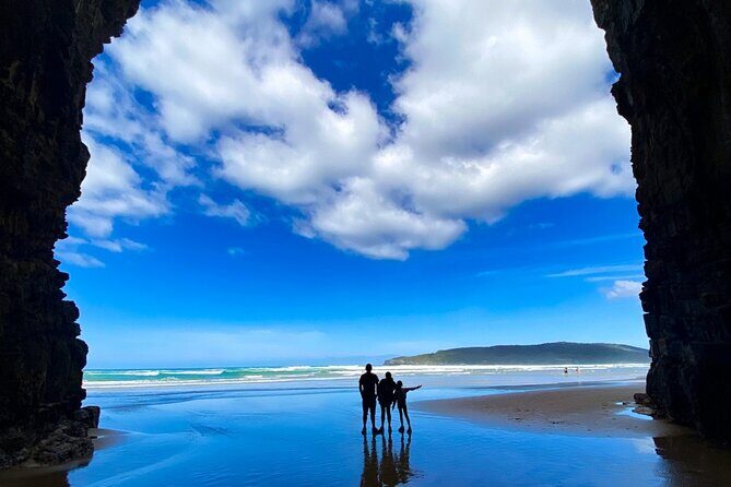 Nugget Point and Cathedral Caves Private Tour from Dunedin - The Experience and Value