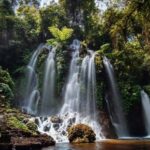 Nungnung Waterfall & Jatiluwih Rice Fields Tour - What Reviewers Say