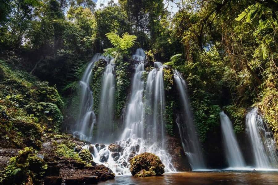 Nungnung Waterfall & Jatiluwih Rice Fields Tour - What Reviewers Say