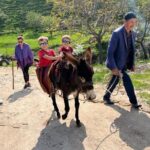 Nuratau Village Home Stay and Hiking tours from Bukhara - What’s Included and What’s Not