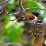 Nuratau Village Home Stay and Hiking tours from Bukhara - Practical Details and Value