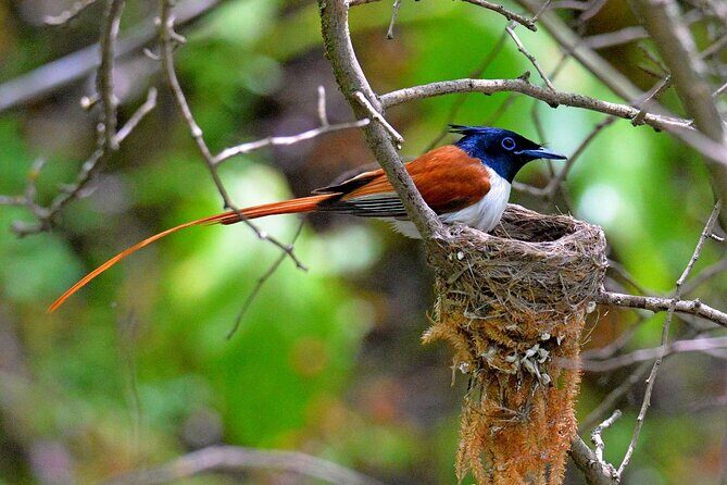 Nuratau Village Home Stay and Hiking tours from Bukhara - Practical Details and Value