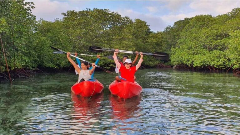 Nusa Dua: Suwung Mangrove Glass Bottom Boat Tour - Why This Tour Offers Good Value