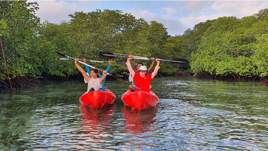 Nusa Dua: Suwung Mangrove Glass Bottom Boat Tour - Why This Tour Offers Good Value