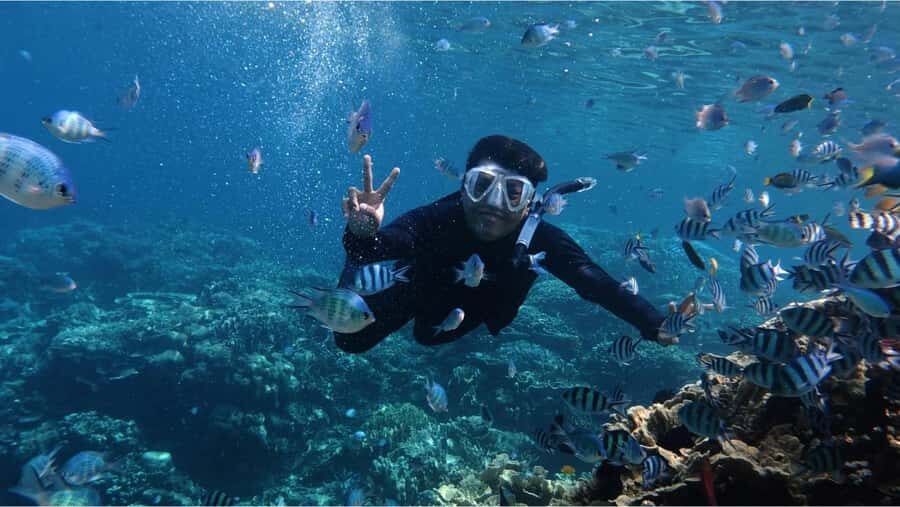Nusa Dua: Watersports Packages and Turtle Conservation Tour - What Water Activities Are Available?