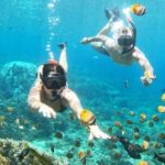 Nusa Lembongan from Bali: 3 Spots Snorkeling & Islands Tour - In-Depth Breakdown of the Itinerary