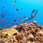 Nusa Lembongan Island and Snorkeling Adventure - Detailed Itinerary Breakdown