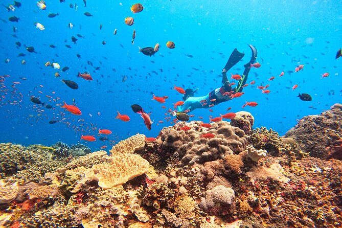 Nusa Lembongan Island and Snorkeling Adventure - Detailed Itinerary Breakdown
