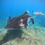 Nusa Penida: 3-Spot Snorkeling Experience & West Island Tour - How Good Is the Value?