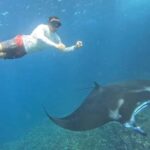 Nusa Penida: 3-Spot Snorkeling Experience & West Island Tour - A Balanced Look at the Experience