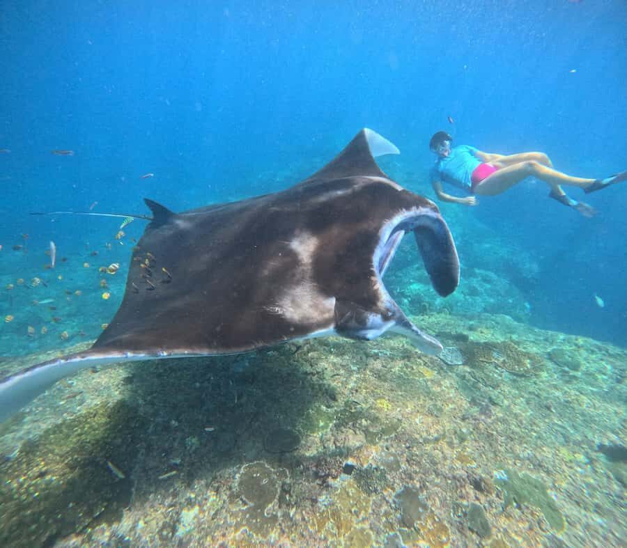 Nusa Penida: 3-Spot Snorkeling Experience & West Island Tour - How Good Is the Value?