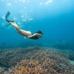 Nusa Penida Day Trip with Snorkeling Package - Who would love this tour?