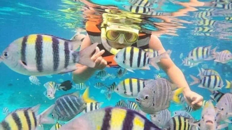 Nusa Penida: East Coast Snorkeling Tour with GoPro - Final Thoughts: A Relaxed, Photo-Friendly Underwater Escape