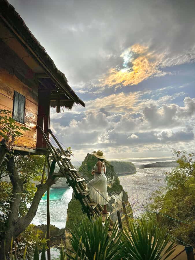 Nusa Penida East Island Private Tour with Tree House - The Experience and Guides