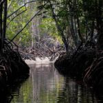 Nusa Penida: Ecotourism, 7-Days of Conservation & Culture - Discovering Nusa Penida: A Closer Look at the Experience