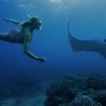 Nusa Penida: Full Day Private Snorkeling With Manta Ray - Transportation and Overall Value