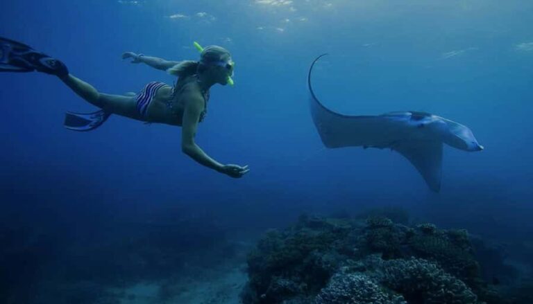 Nusa Penida: Full Day Private Snorkeling With Manta Ray - What to Expect from the Tour