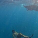 Nusa Penida: Manta Point Snorkeling with Lunch and Pick Up - An In-Depth Look at the Itinerary