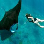 Nusa Penida: Manta Point Snorkeling with Lunch and Pick Up - Detailed Breakdown of the Itinerary