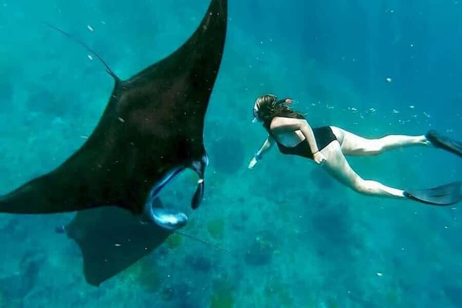 Nusa Penida: Manta Point Snorkeling with Lunch and Pick Up - Detailed Breakdown of the Itinerary