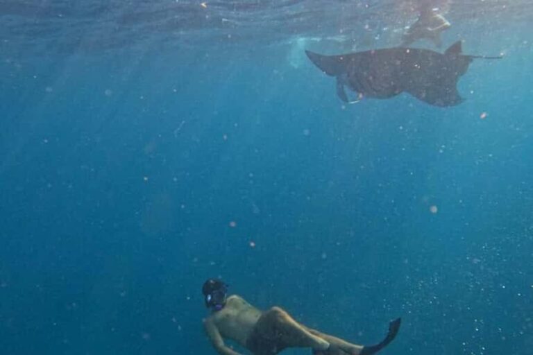 Nusa Penida: Manta Point Snorkeling with Lunch and Pick Up - An In-Depth Look at the Itinerary