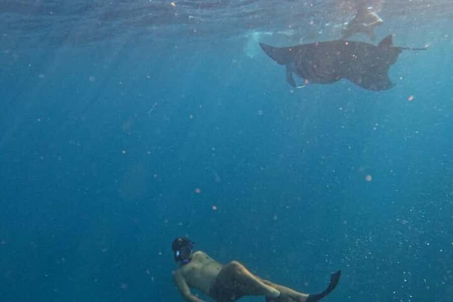 Nusa Penida: Manta Point Snorkeling with Lunch and Pick Up - An In-Depth Look at the Itinerary