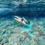 Nusa Penida: Private Snorkel, Chill Stop & Kelingking Sunset - A Detailed Look at the Experience