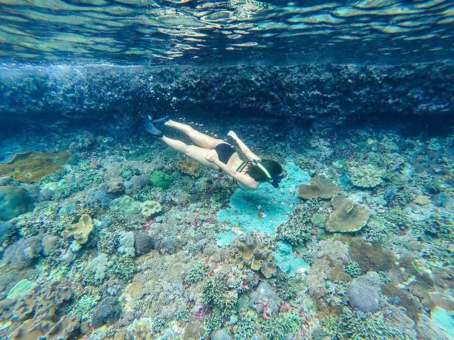 Nusa Penida: Private Snorkel, Chill Stop & Kelingking Sunset - A Detailed Look at the Experience