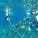 Nusa Penida Sharing Snorkeling with West Tour - Snorkeling: Underwater Highlights