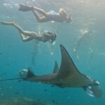 Nusa Penida: Snorkeling 3 Spots with GoPro & West Land Tour - Practical Tips for a Great Experience