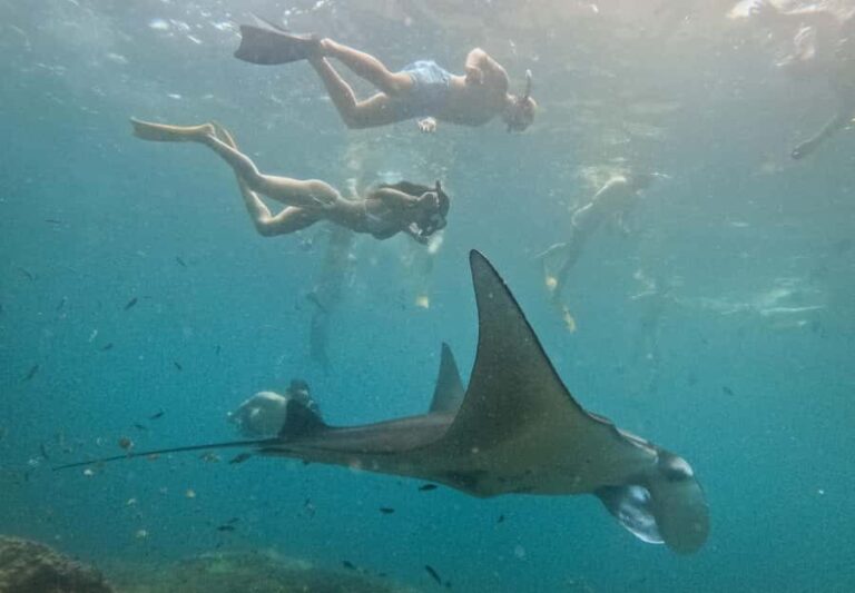 Nusa Penida: Snorkeling 3 Spots with GoPro & West Land Tour - Practical Tips for a Great Experience