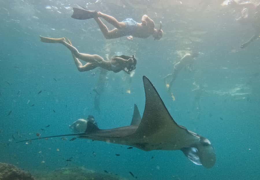 Nusa Penida: Snorkeling 3 Spots with GoPro & West Land Tour - Practical Tips for a Great Experience