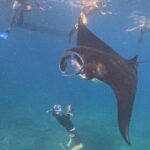 Nusa Penida Special Trip Snorkeling with Manta Rays and Land Tour - Possible Drawbacks and Caveats