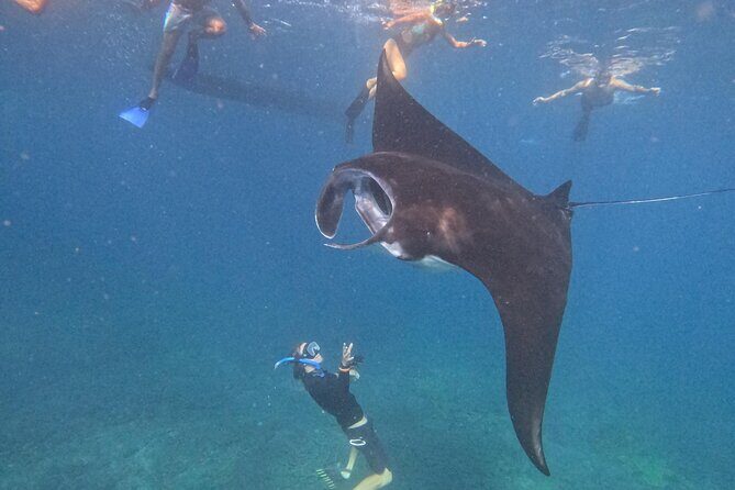 Nusa Penida Special Trip Snorkeling with Manta Rays and Land Tour - Possible Drawbacks and Caveats