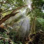 Nusa Penida: West Tour & Hidden Tembeling Pool - Practical Details & What to Expect