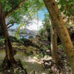 Nusa Penida: West Tour & Hidden Tembeling Pool - The Adventure in Detail: Why It Works