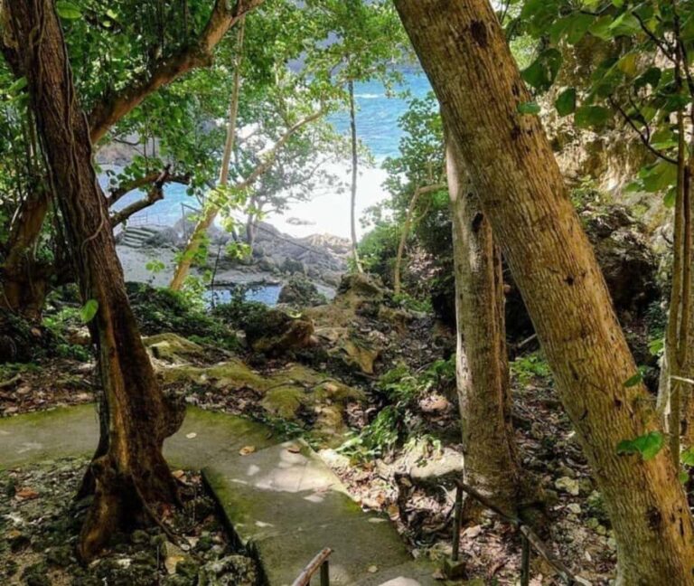 Nusa Penida: West Tour & Hidden Tembeling Pool - The Adventure in Detail: Why It Works