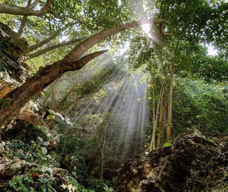 Nusa Penida: West Tour & Hidden Tembeling Pool - Practical Details & What to Expect