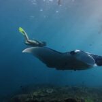 Nusa Penida:Private Land Tour & Snorkeling Nusa Penida - Transport and Practicalities