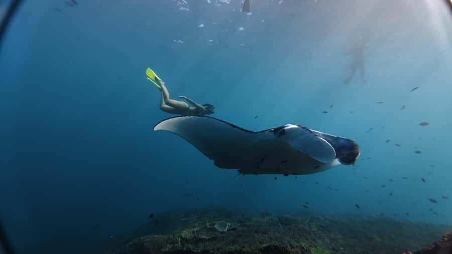 Nusa Penida:Private Land Tour & Snorkeling Nusa Penida - Transport and Practicalities