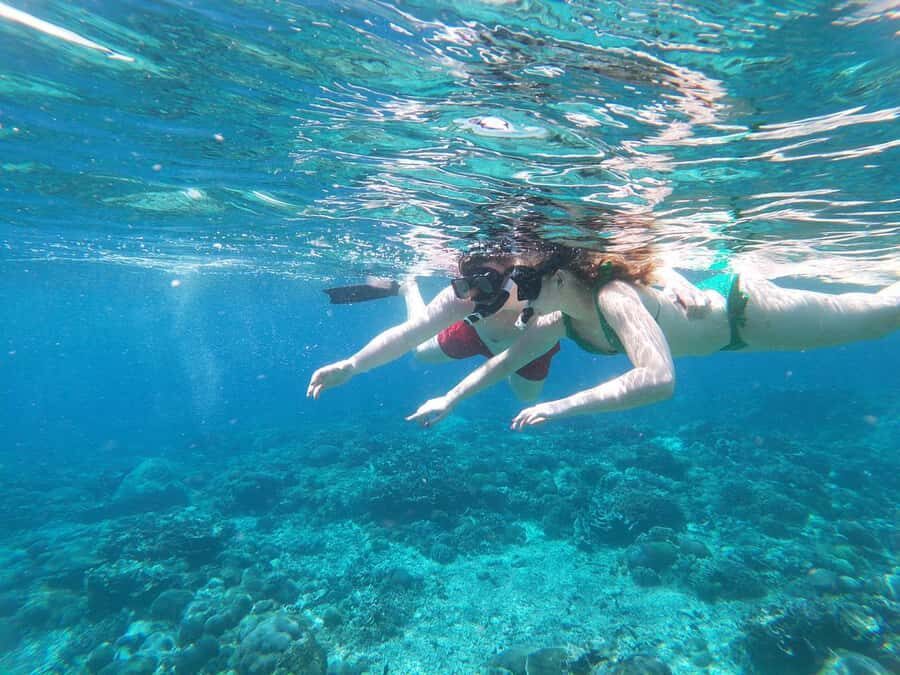 Nusapenida Snorkeling and Land Tour - What Makes This Tour Stand Out?