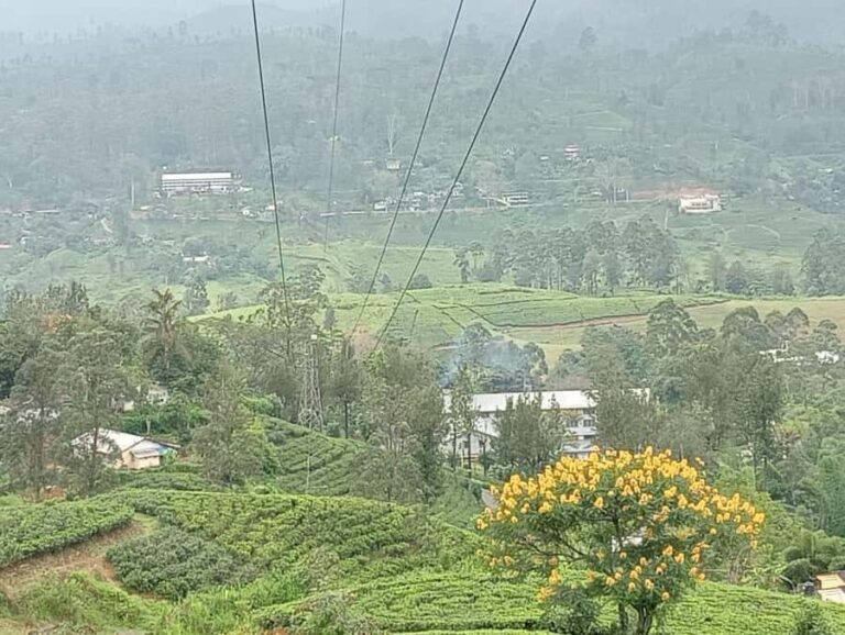 Nuwara Eliya: 8Hrs Tuk Tuk Tour to Waterfalls & Tea Tasting - What Really Sets This Tour Apart