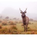 Nuwara Eliya: Cloud Forest Hike with Cliff Views - Who Will Love This Tour?