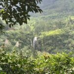 Nuwara Eliya Highlights: Tea, Coffee & Waterfalls - Exploring the Itinerary in Detail