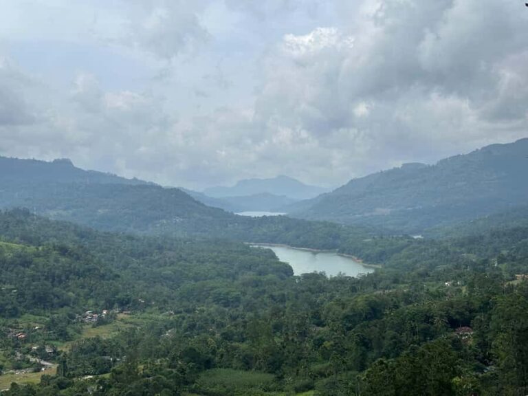 Nuwara Eliya Highlights: Tea, Coffee & Waterfalls - Who is This Tour Perfect For?