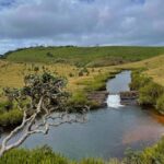 Nuwara Eliya: Horton Plains Guided Hike with Lunch - Practical Details & Tips